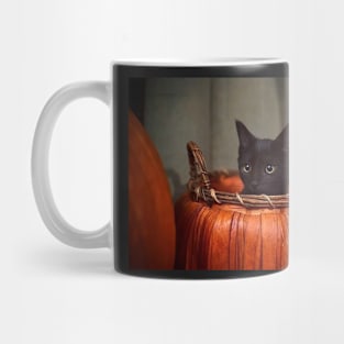 cat in pumpkin Mug